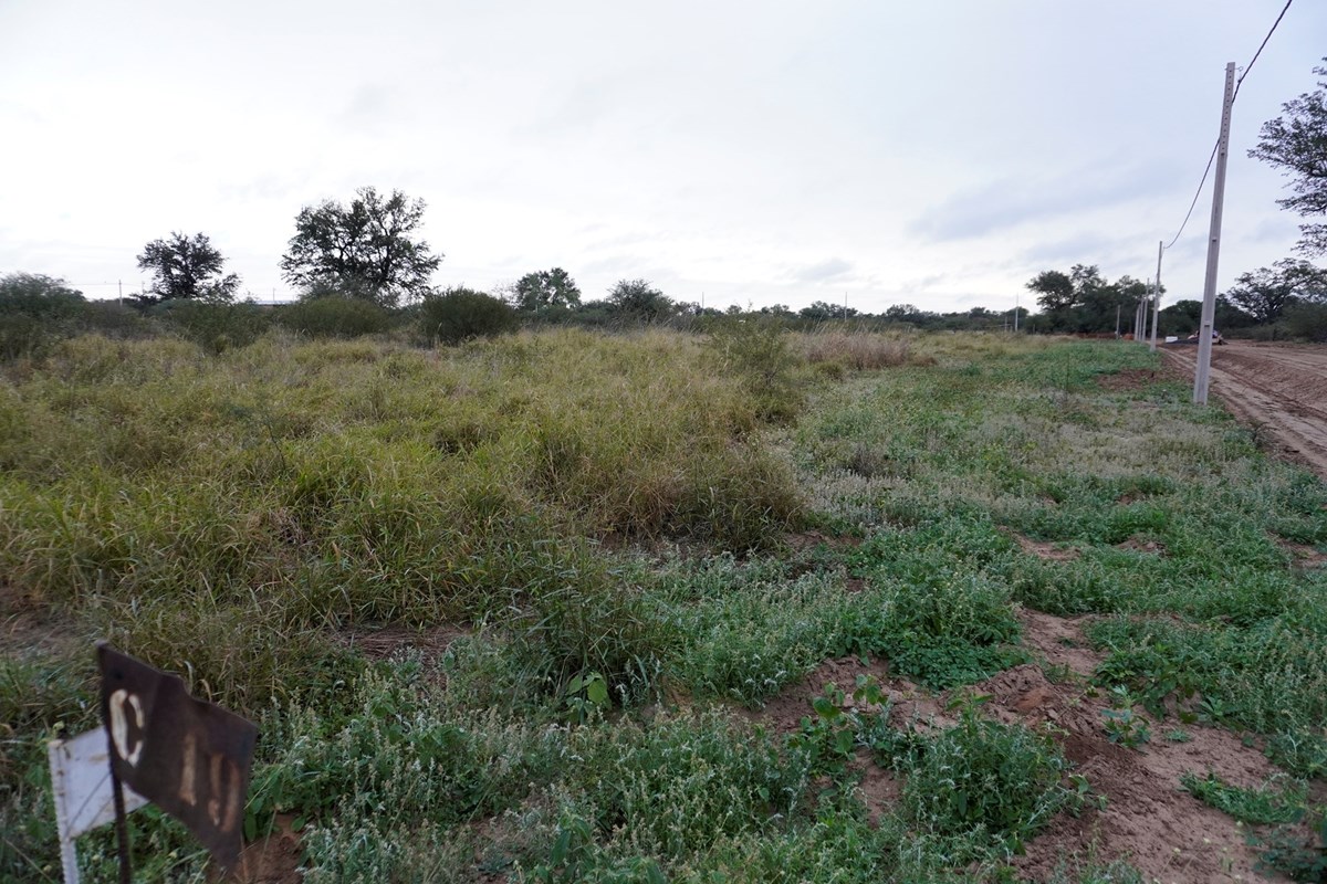 Terreno residencial en venta en Filadelfia, Boquerón