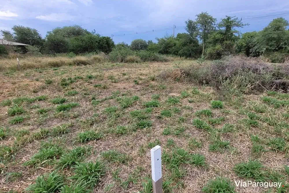 Terreno residencial en venta en Filadelfia, Boquerón
