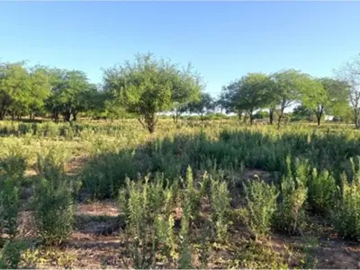 Terreno residencial à venda em Loma Plata, Boquerón 1