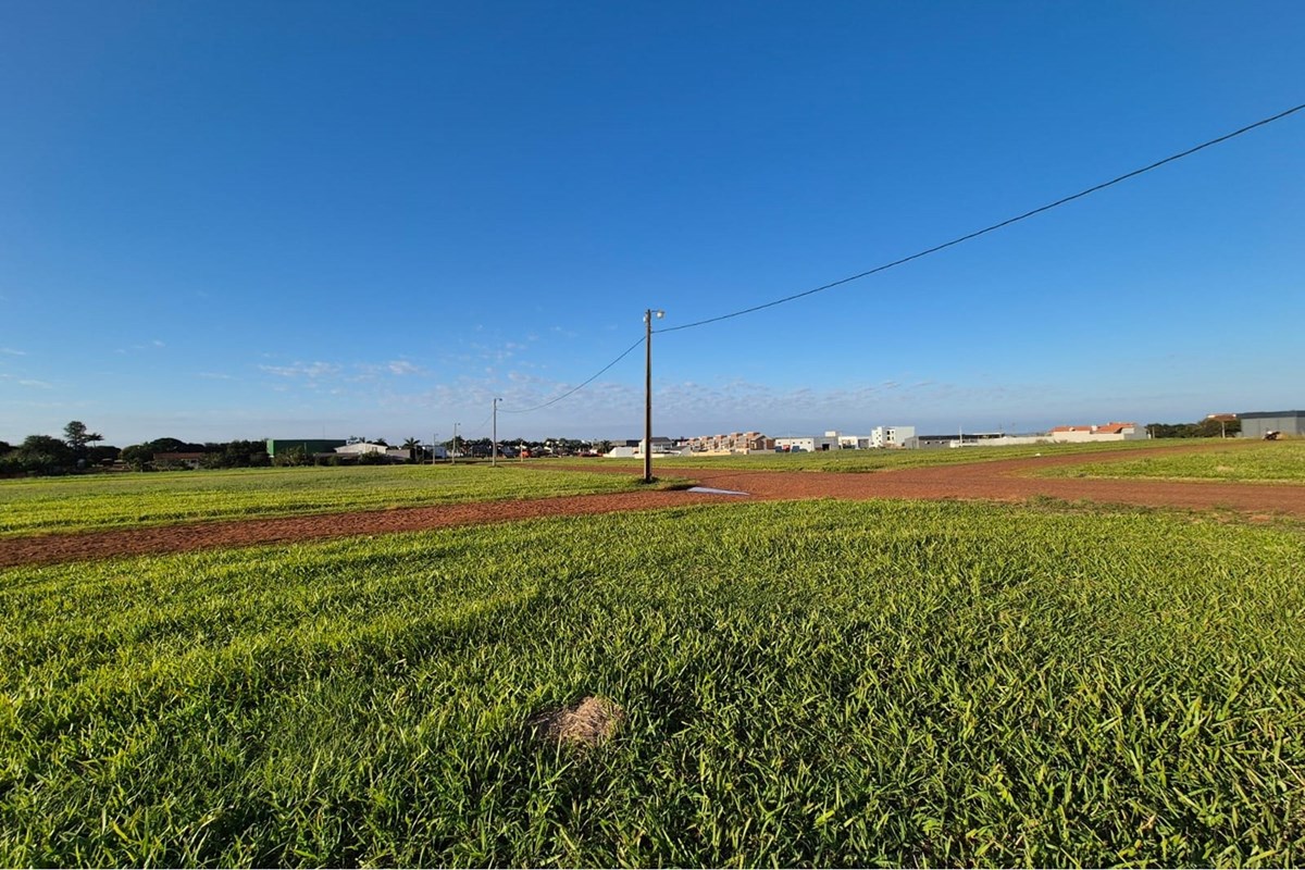 Terreno residencial à venda em Tomás Romero Pereira, Itapúa