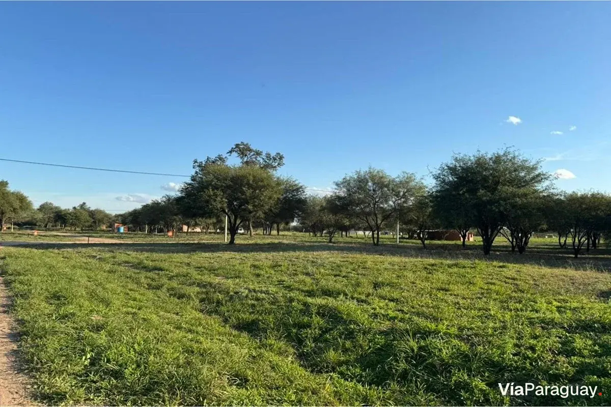 Residential or commercial land for sale in Loma Plata