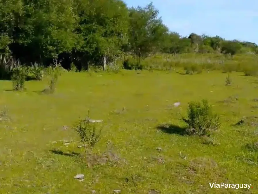 Terreno rural de 20 ha en venta en Villarrica