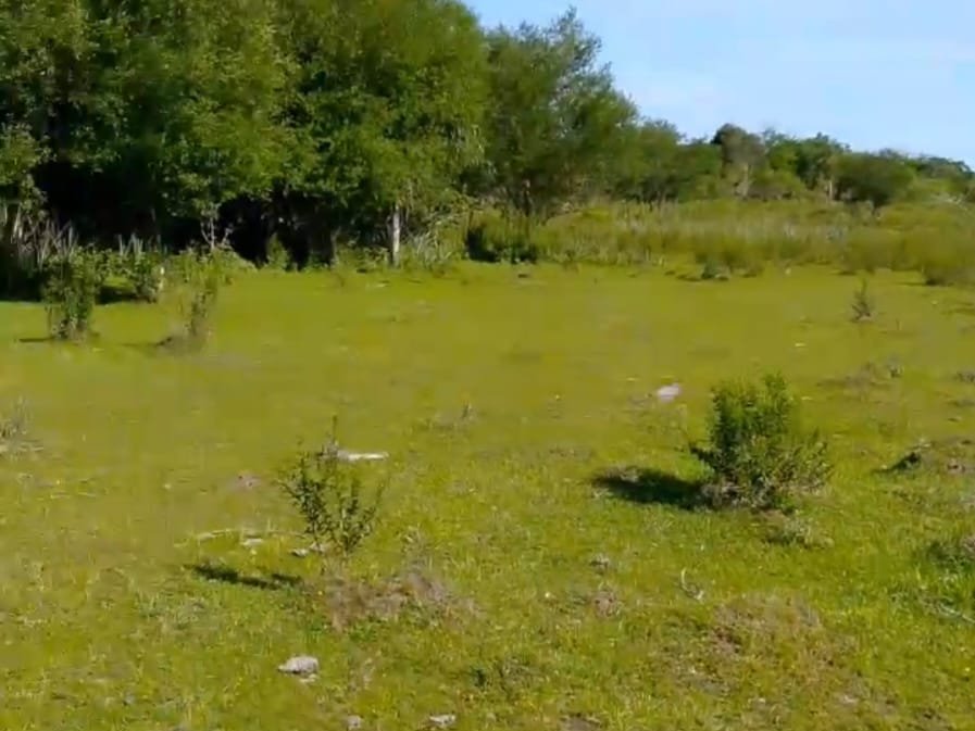 Terreno rural de 20 ha à venda em Villarrica