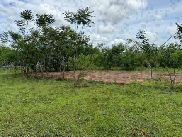 Terreno rural de 2,5 ha en venta en Carapeguá, Paraguarí