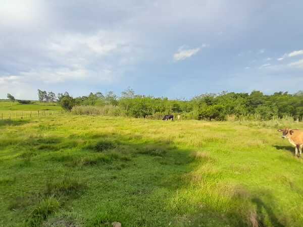 Terreno rural de 4 hectáreas en venta, Capitán Miranda, Itapúa