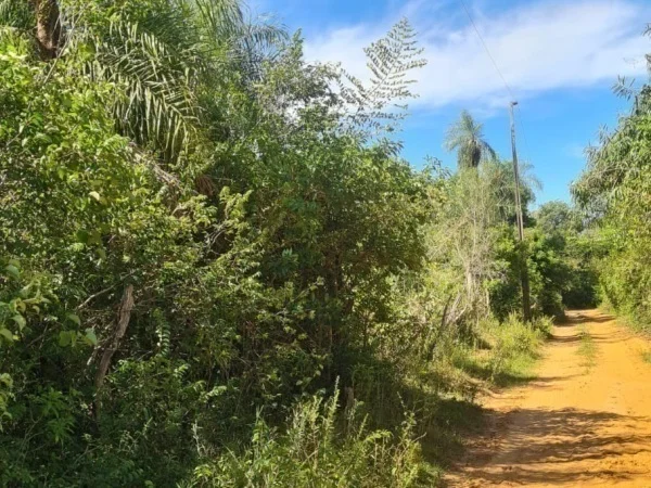 Terreno rural de 9,9 hectáreas en venta en San Roque González, Paraguarí