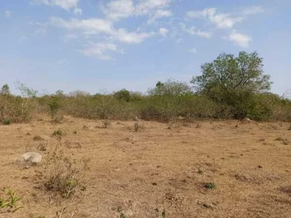 Terreno rural en venta en Arroyos y Esteros, Cordillera