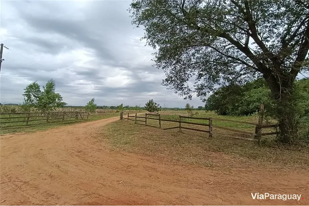 Terreno rural en venta en Caaguazú, 5 hectáreas