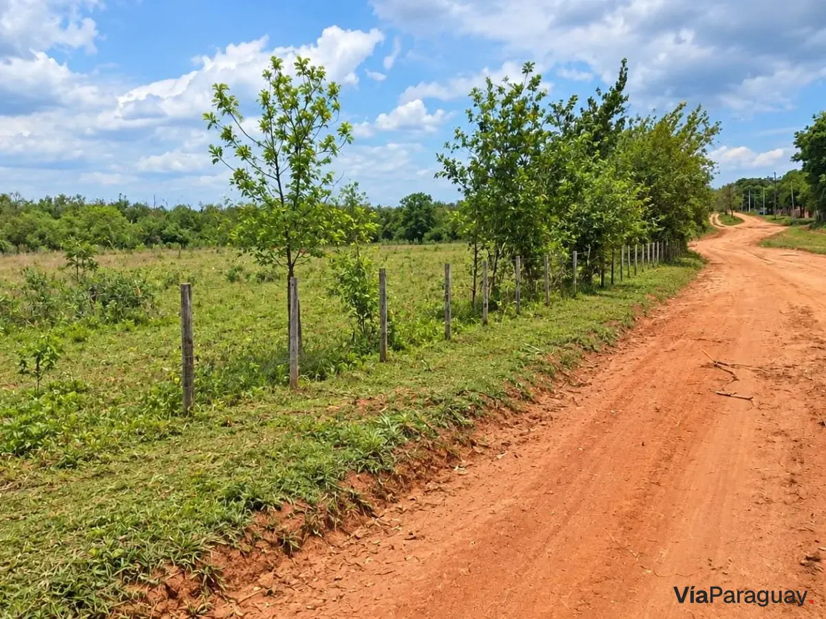Terreno rural à venda em Dr. Juan Manuel Frutos, Caaguazú