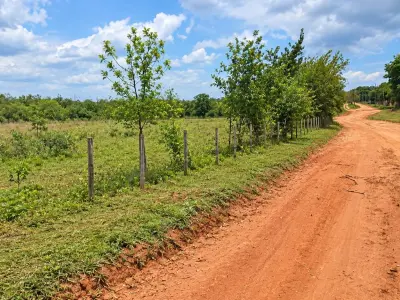 Terreno rural à venda em Dr. Juan Manuel Frutos, Caaguazú