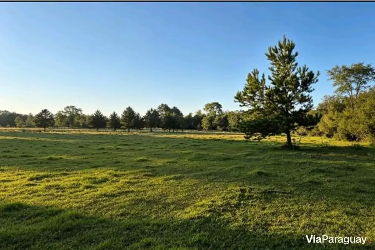 Terreno rural à venda em Encarnación, Itapúa