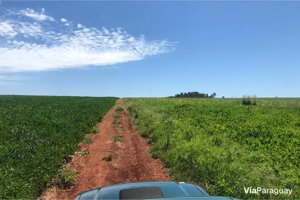 Terreno rural en venta en Nueva Alborada, Itapúa