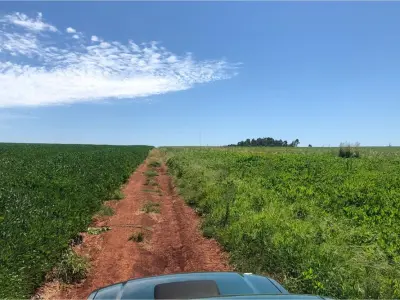 Terreno rural en venta en Nueva Alborada, Itapúa