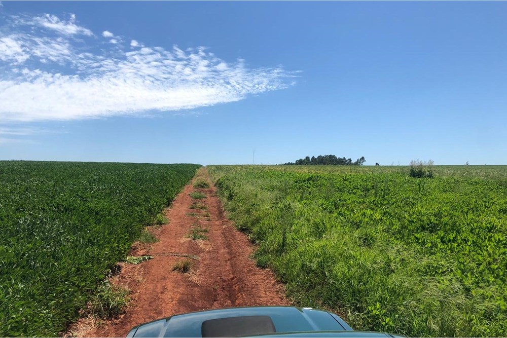 Rural land for sale in Nueva Alborada, Itapúa