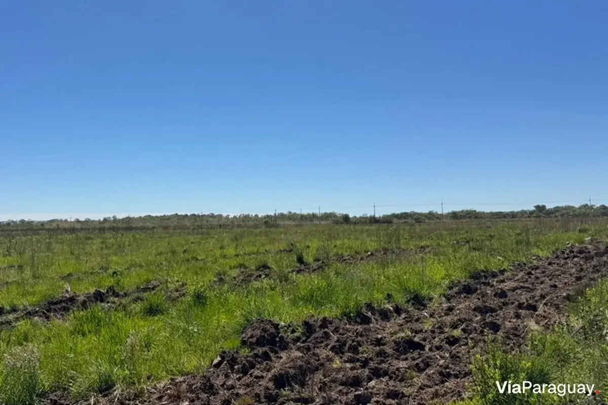 Terreno rural en venta en San Juan Nepomuceno, Caazapá