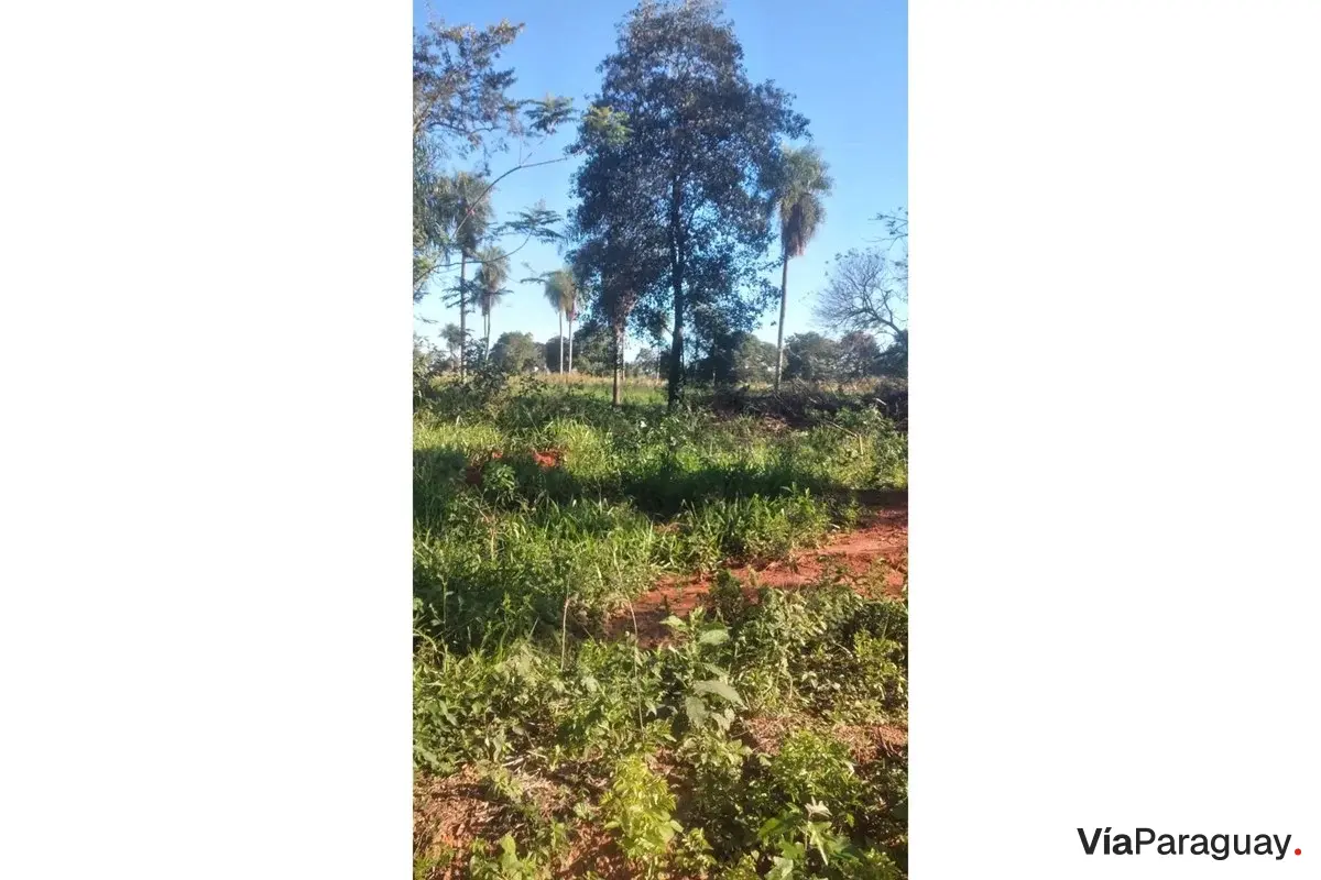 Rural land for sale in San Pedro, 81,359 m²