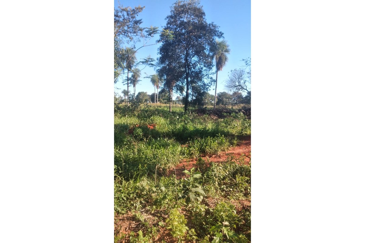 Rural land for sale in San Pedro, 81,359 m²