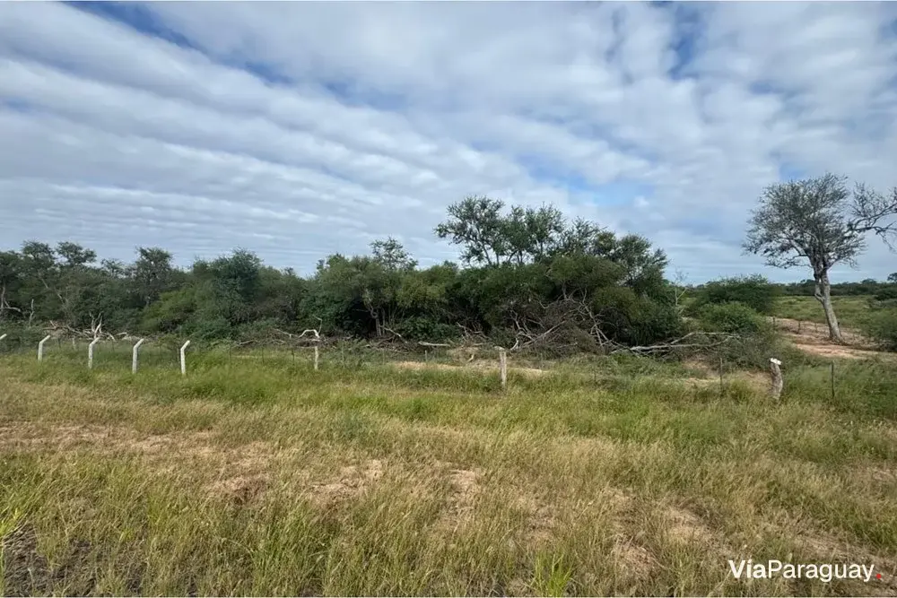 Rural land for sale in Tte. Manuel Irala Fernández
