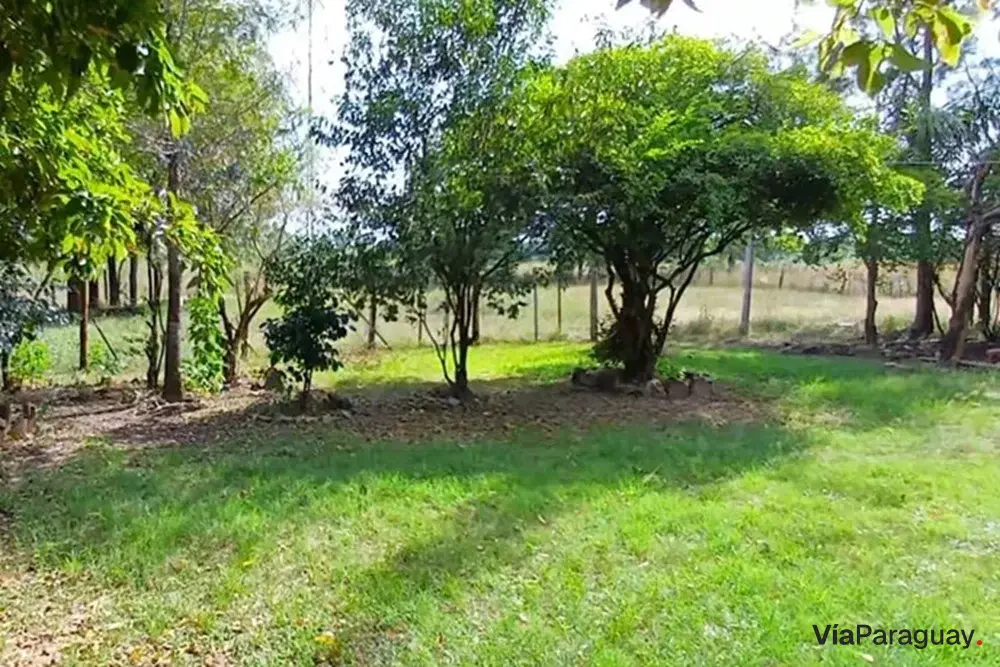 Terreno rural à venda em Ypané, Central
