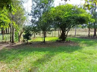Terreno rural à venda em Ypané, Central