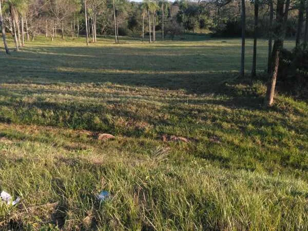 Terreno na Ruta PY01 à venda em Carapeguá, Paraguarí