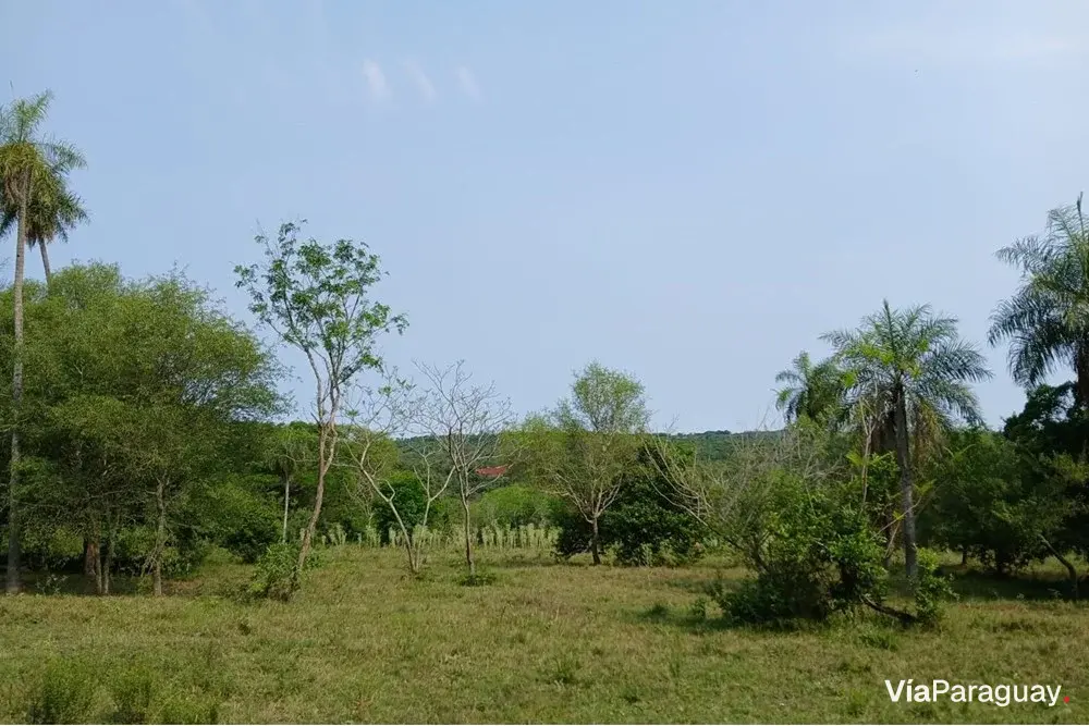 Terrenos à venda em Altos, Cordillera