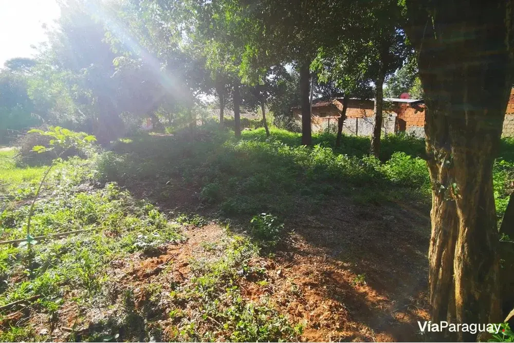 Terrenos à venda em Areguá, Estanzuela
