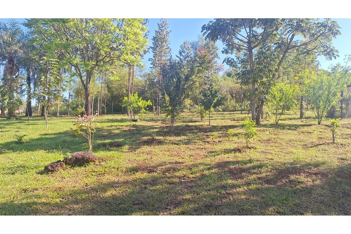 Terrenos à venda em Arroyo Porã, Cambyretá