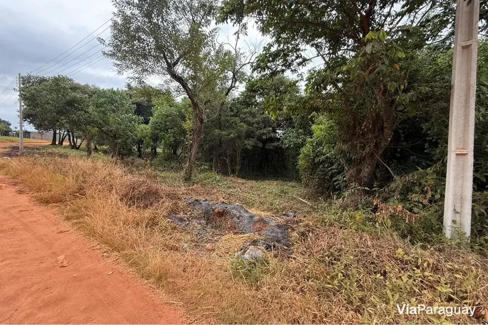 Land for sale in Coronel Oviedo, Caaguazú