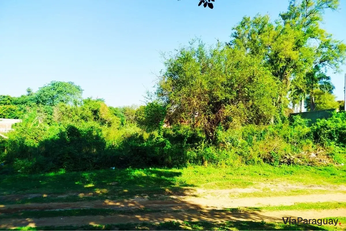 Terrenos à venda em El Peñón, Limpio