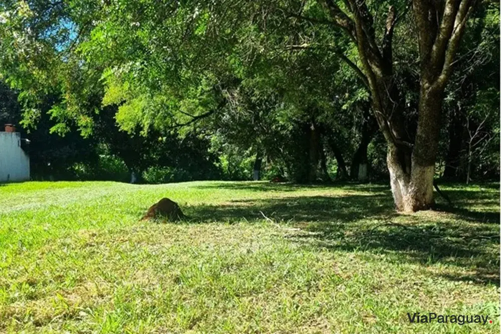 Terrenos en venta en Encarnación, Itapúa