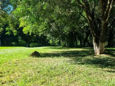 Terrenos en venta en Encarnación, Itapúa