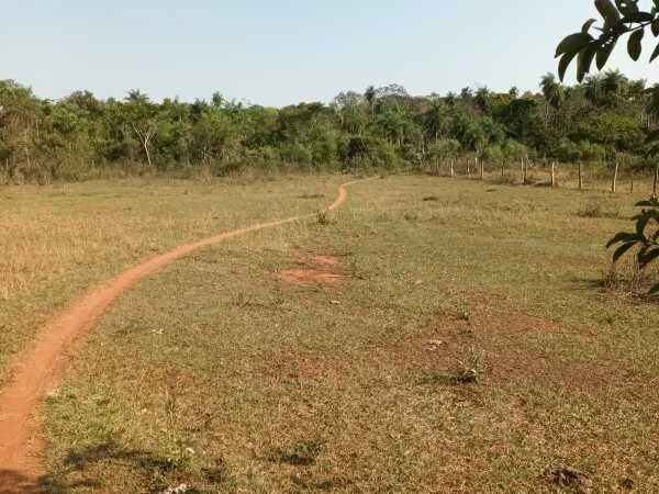 Terrenos à Venda em Guazú Virá, Itauguá