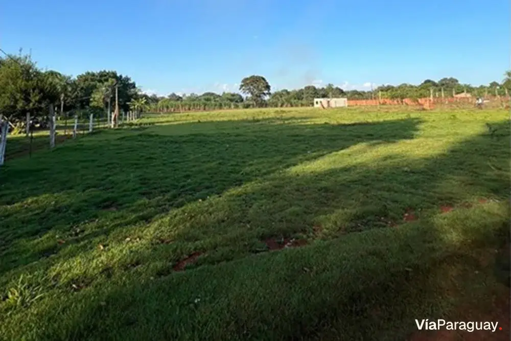 Terrenos en venta en Hernandarias, Alto Paraná