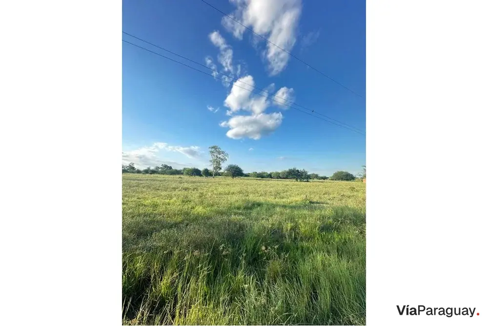 Land for sale in José Falcón, Presidente Hayes