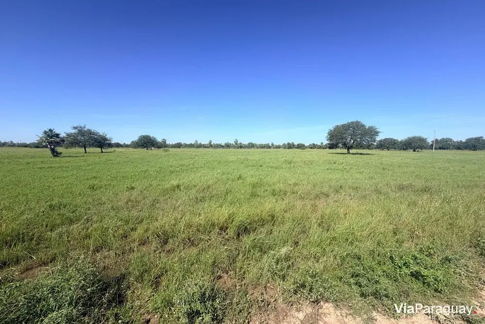 Land for sale in José Falcón, Presidente Hayes