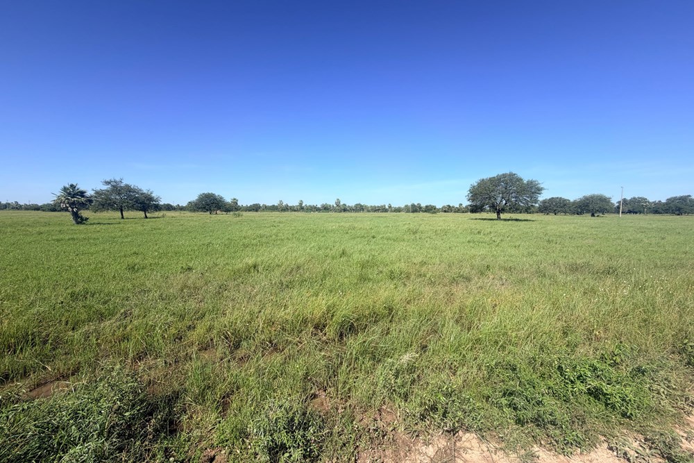 Land for sale in José Falcón, Presidente Hayes