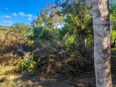 Terrenos en venta en Loma Grande, Cordillera