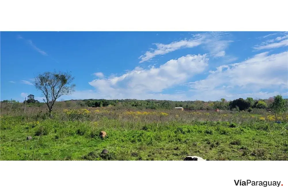 Terrenos à venda em Loma Grande, Cordillera