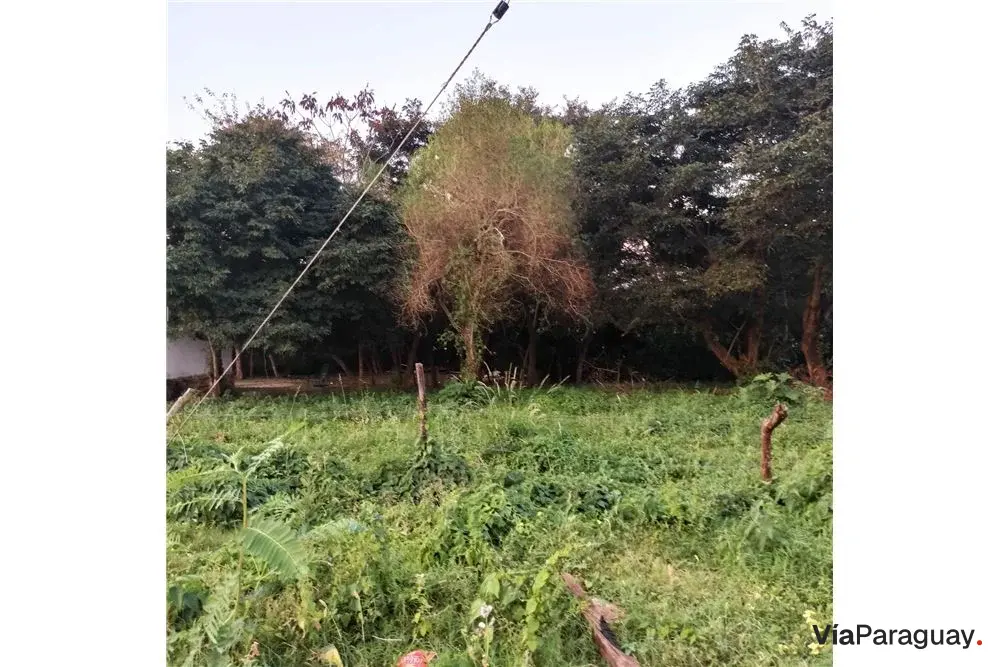 Terrenos à venda em Loma Merlo, Luque