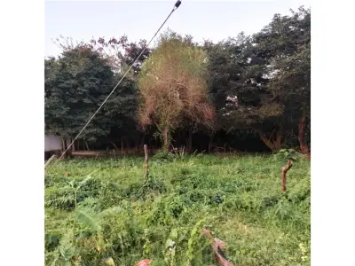 Terrenos à venda em Loma Merlo, Luque