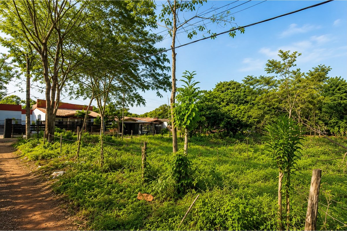 Terrenos à venda em Mbokajaty, Ñemby