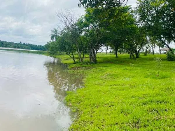 Land for Sale in Minga Guazú – from 450 m²