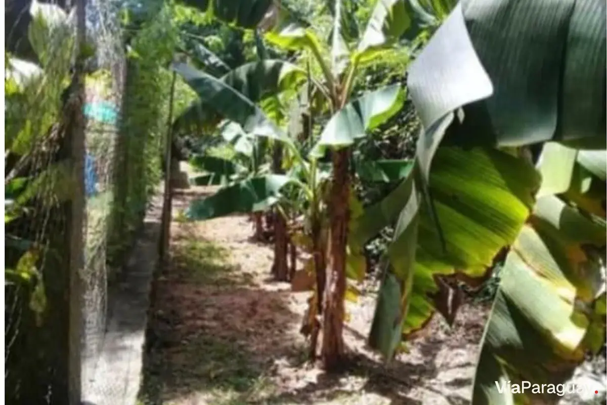 Terrenos en venta en Piribebuy, Cordillera