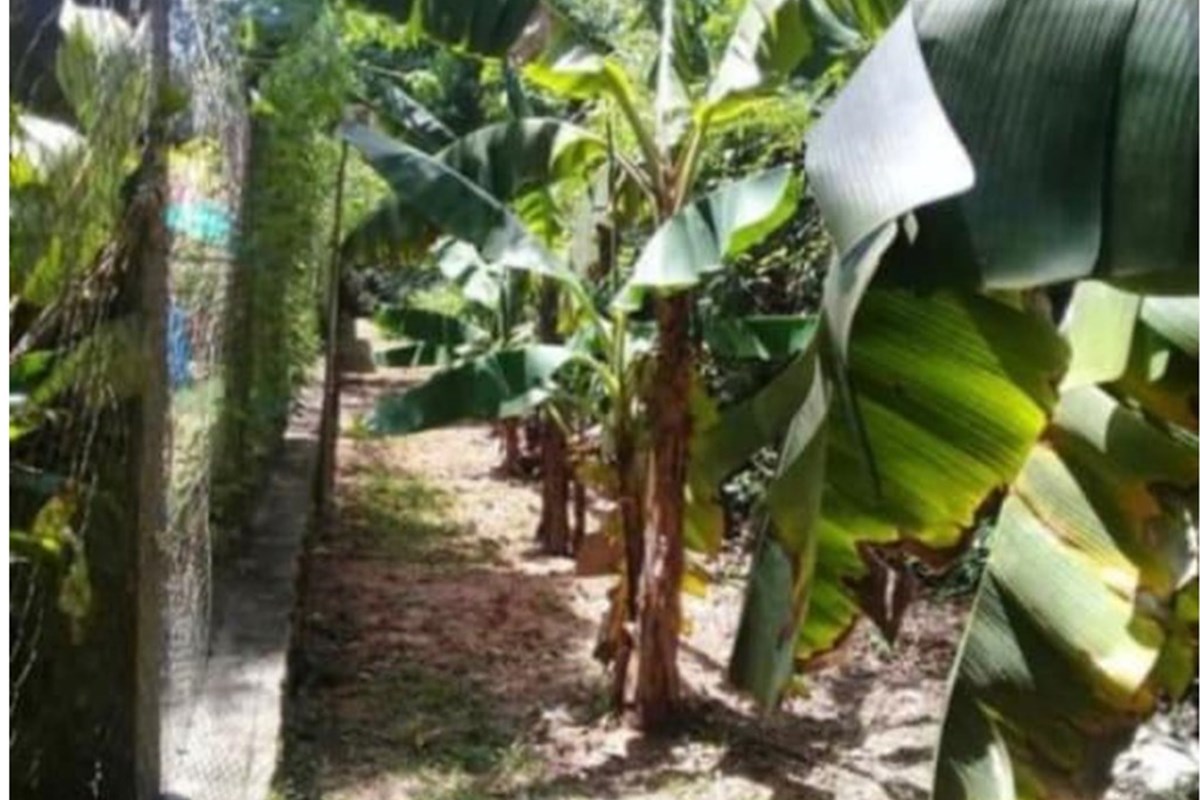 Terrenos à venda em Piribebuy, Cordillera