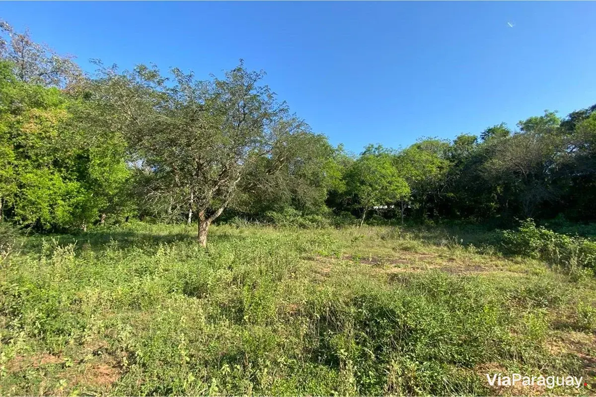 Land for sale in Quinta Belvedere II, Atyrá