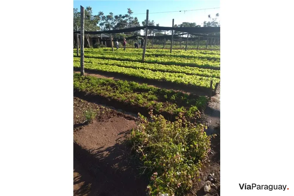 Terrenos à venda em San Miguel, Julián Augusto Saldivar