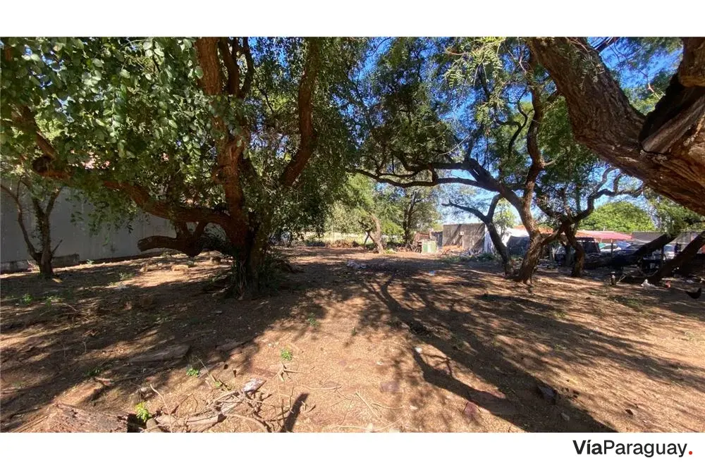 Terrenos à venda sobre asfalto em Lambaré
