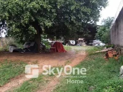Industrial shed for rent in Lambaré, near Terminal