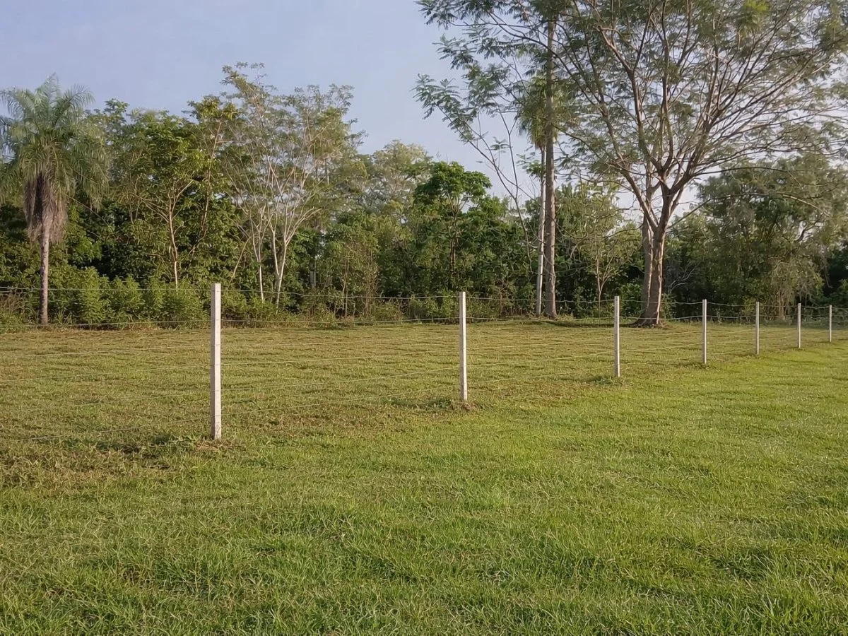 Three Plots for Sale in Guazú Vira, Itauguá